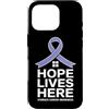 Stomach Cancer Warrior Gifts for Women a Custodia per iPhone 16 Pro Consapevolezza del cancro allo stomaco Pervinca Novembre Cancro allo stomaco
