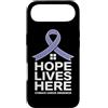 Stomach Cancer Warrior Gifts for Women a Custodia per iPhone Air Consapevolezza del cancro allo stomaco Pervinca Novembre Cancro allo stomaco