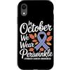 Stomach Cancer Warrior Gifts for Women a Custodia per iPhone XR Consapevolezza del cancro allo stomaco Pervinca Novembre Cancro allo stomaco