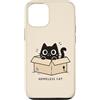 Homeless Cat Custodia per iPhone 12/12 Pro Homeless Cat Box Gatto Divertente Gattino Carino Gatto Nero