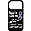 Stomach Cancer Warrior Gifts for Women a Custodia per iPhone 17 Pro Consapevolezza del cancro allo stomaco Pervinca Novembre Cancro allo stomaco
