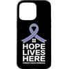 Stomach Cancer Warrior Gifts for Women a Custodia per iPhone 15 Pro Max Consapevolezza del cancro allo stomaco Pervinca Novembre Cancro allo stomaco