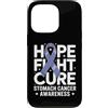Stomach Cancer Warrior Gifts for Women a Custodia per iPhone 13 Pro Consapevolezza del cancro allo stomaco Pervinca Novembre Cancro allo stomaco