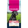 Eukanuba Senior Large Pollo 15 kg Crocchette Complete per Cani Anziani di Taglia Grande