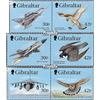 Prophila Collection Gibilterra 880-885 Coppie (Completa Edizione) MNH ** MNH 1999 Combat Aircraft - Rapaci (Francobolli per i Collezionisti) Uccelli