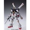 Bandai Master Grade MG 1/100 Mobile Suit Gundam XM-X1 Crossbone Gundam X-1 Ver.K