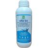BLUE LINE CIPEX 10 E Insetticida Concentrato Cipermetrina 1 Litro - Antizanzare Mosche Scarafaggi Formiche - Azione Abbattente e Residuale fino a 4 Settimane