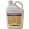 ZAPI EXPERT GARBAN EVO tanica 5 lt. Insetticida Concentrato Emulsionabile Cipermetrina 10% - Anti Blatte Formiche Zanzara Tigre - Azione Residuale 4 Settimane