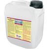 ZAPI EXPERT Insetticida Concentrato Professionale EKOSET B.I.A. Green 5 Lt - Antizanzare, Mosche, Blatte e Insetti Striscianti - Uso Civile, Industriale e Aree Verdi