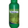 BLUE LINE PIRETROX Insetticida al Piretro Naturale 500 ml - Chrysanthemum cinerariaefolium Azione Abbattente Rapida - Antizanzare Mosche Formiche Blatte per Ambienti Civili e Industriali