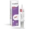 NATURAL TRADE Habitro Gel Antiformiche Siringa 20 g Insetticida Pronto All'Uso Controllo Professionale