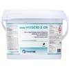 ZAPI EXPERT MUSCID 5 GB Insetticida Granulare per Mosche 2 Kg - Esca Attrattiva Alimentare e Sessuale - Azione Rapida - Uso Professionale e Civile