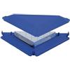 BLUE LINE KIT 3 Way Trap Trappola Collante per Insetti Striscianti con Guscio in Plastica 1 Pezzo Monitoraggio Professionale