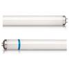 Pil Sistem Neon UV Synergetic 15W 18" Shatterproof - Tubo UV per Lampade Cattura Insetti HACCP - Doppia Lunghezza d'Onda 368nm-540nm