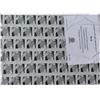 ORMA Piastre Collanti Bianche 61,5 x 34,5 cm per Lampade UV Fly Trap 30 - Commercial 40 - Commercial 80 - Pannelli Adesivi Professionali per Cattura Insetti Volanti - Ricambi Trappole UV Pest Control