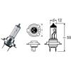 OSRAM BENELLI BN251 ABS EURO 4 250 LAMPADA H7 12V 55W OSRAM 2017