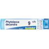 boiron Phytolacca decandra 9ch 80gr