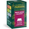 SANDEMETRIO OPIFICIO ERBORISTICO Sandemetrio Tisana Frutti Rossi, 16 Capsule Compatibili con A Modo Mio®, Premium Selection