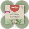 Bolsius - Rosmarino - Maxi Tea Light Profumati - Durata di Combustione di 8 Ore - Estratti Naturali - Contiene Cera Vegana - Senza Olio di Palma