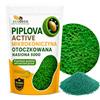ECODECO Semi di Trifoglio Nano per Prato Calpestabile 500g (200 m²) - Trifoglio Semi Bianco per un Tappeto Erboso Uniforme e Verde - Migliora Fertilità del Suolo