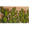 Baroni Home Zerbino Ingresso Casa in Fibra di Cocco Dipinto a Mano, Tappeto da Esterno con Fondo Antiscivolo, Zerbino Resistente e Facile da Pulire, Cactus Fiori Arancioni, 70x40 cm