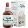 FORZA VITALE ITALIA Srl ECOSOL Fagus Comp.50ml