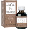 DR.GIORGINI SER-VIS Srl ACQUA DI ZENZERO 50ML NF