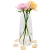 CiciIng Vaso di vetro per fiori, vaso di vetro trasparente moderno Ins, vaso di vetro alto 22 CM per la decorazione della tavola, vasi decorativi per erba di pampa, tulipani, orchidee, rose (Eptacromia)