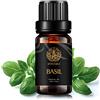 Aphrosmile Basilico Aromaterapia Olio essenziale, 100% Pure Basilico Profumo olio essenziale per Diffusori, umidificatore, terapeutico Grade Aromaterapia Basilico olio essenziale fragranza per casa 0,33 oz-10ml
