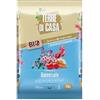 Coltivo Terriccio Universale Bio Terre di Casa - 10L