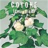Floriana-Bulbose COTONE (Gossypium) (SEMI DA FIORE)