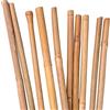 UNUS Canne di bambù, rampicanti, aste per piante in bambù, 120 cm, colore naturale, diverse lunghezze