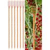 Generic Xing - Set di 6 antenne da giardinaggio in rame per elettrocoltura da 38,1 cm, pali per piante elettroculturali, filo di rame per pali da giardino, anelli tensori in rame, aste di supporto per bobina