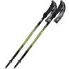 FIZAN COMPACT 3 GREEN bastoncini