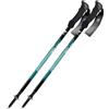 FIZAN COMPACT 3 WATER GREEN bastoncini