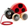 Hape Coccinella Spingi&Tira - Animali in legno trainabili con cordino e rotelle - Push&Pull Toys per bambini dai 12 mesi