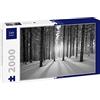 Lais Puzzle Tramonto nella Foresta in Inverno in Bianco e Nero 2000 Pezzi
