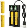 HOVCEH 2 batterie ricaricabili da 3,7 V, 3000 mAh, batteria agli ioni di litio da 3,7 V, con caricabatterie, batteria agli ioni di litio per torcia, piccola ventola, campanello, mini ventilatore