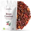 REPLANTEA Cuidamos tu Naturaleza Infuso di Rosa Canina Biologico (200g) | Tisana di Cinorrodi BIO, Fonte Naturale di Vitamina C per Difese Immunitarie e Pelle, 100% Frutti Sfusi, Senza Caffeina
