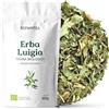 REPLANTEA Cuidamos tu Naturaleza REPLANTEA Infuso di Erba Luigia Biologica 100g | Verbena Odorosa in Foglie Tagliate | Tisana Digestiva e Rilassante | Aroma Intenso di Limone | Aloysia Citriodora Sfusa