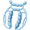 AsrMyjcx Massage Roller Clamp Muscolare Girevole Ausilio per Rilassamento Muscoli Tesi Ruote Rotanti a 360 Gradi Regolazione per Gambe E Braccia Adatto a, Blu
