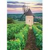 Nathan Puzzle Moulin Sorine - Vigneto di Santenay - Borgogna - 1000 pezzi