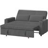 Devoko Divano Letto 2 Posti in Velluto Divano Matrimoniale Prontoletto Estraibile con Schienale Regolabile in 5 Posizioni per Soggiorno, Camera da Letto o Ufficio, 75P x 160L x 93H cm, Grigio