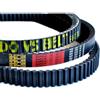 Generico CINGHIA TRASMISSIONE BANDO WOTTAN STORM S 300 E KL BRERA 300