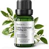 AMYRON Olio Essenziale Petitgrain 15ml AMYRON | Citrus Aurantium | Naturale E Puro Al 100% | Profumo Floreale Dolce ai Fiori d'Arancia | Ideale Per Aromaterapia | Diffusore | Massaggi Aromatici