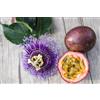 Generico Passiflora Maracuia da frutto tropicale esotica 150 cm su canna 2 anni