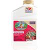 Bonide Captain Jack da Dead Bug Brew, concentrato, quart