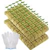 LEIMEND 100 Cuscinetti di Lana di Roccia per Piantine Cubi di Lana di Roccia 2.5x2.5x2.5 CM Cuscinetti di Lana Ecologici e Altamente Traspiranti Adatti per Talee Clonazione e Propagazione