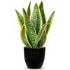 Oairse Pianta artificiale di serpente in vaso, piante artificiali di sansevieria in vaso, piante artificiali decorative da interno per la casa, ufficio, cucina, camera da letto, scaffale