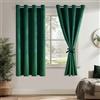 DWCN Tende in velluto verde, set da 2 pezzi, altezza 175 x 140 cm, con cravatte, opache, in velluto per camera da letto, soggiorno, splendidamente morbide, oscuranti, spesse, termiche invernali